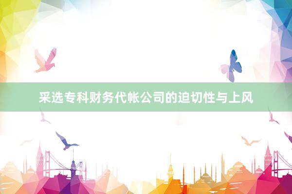 采选专科财务代帐公司的迫切性与上风