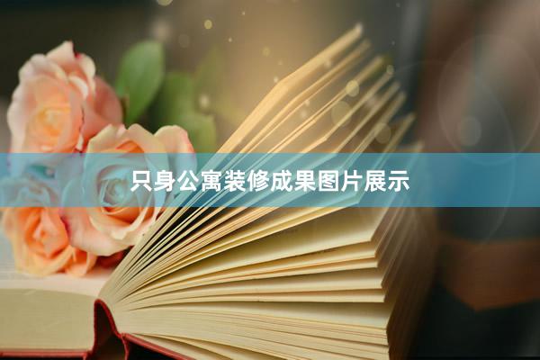 只身公寓装修成果图片展示